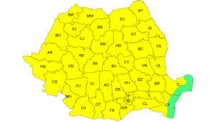 cod-galben-fara-litoral